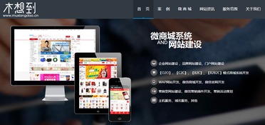 木想到在深圳,還有這么一家 木想到 的公司