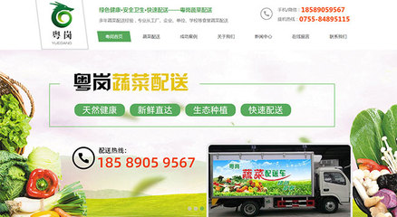 廣東新杰膳食服務(wù)-東莞長安蔬菜配送網(wǎng)站建設(shè)成功案例